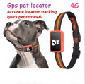 4G GPS Pet Tracker Collar on a dog